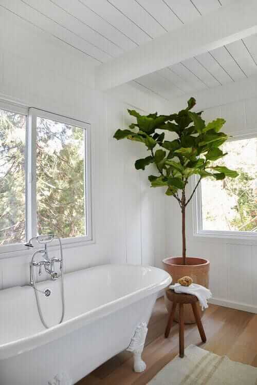 Une salle de bain blanche avec un arbre dans le coin.