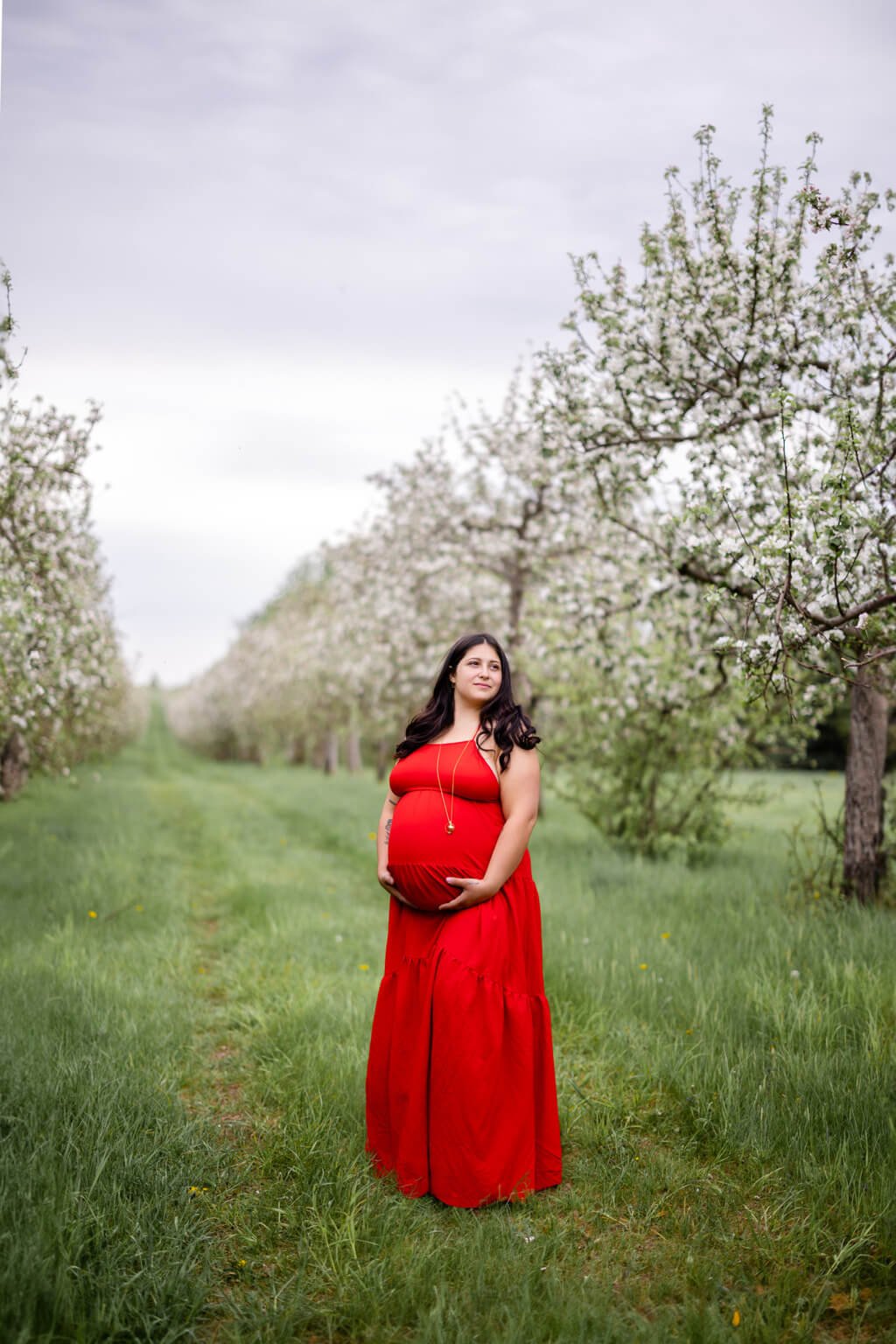 Une femme enceinte vêtue d’une robe rouge debout dans un verger — Rébecca Vandal, photographe à Granby