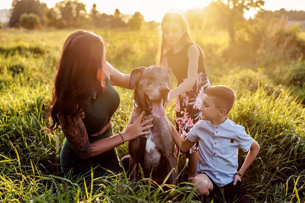 Une famille avec un chien dans un champ au coucher du soleil — Rébecca Vandal, photographe à Granby