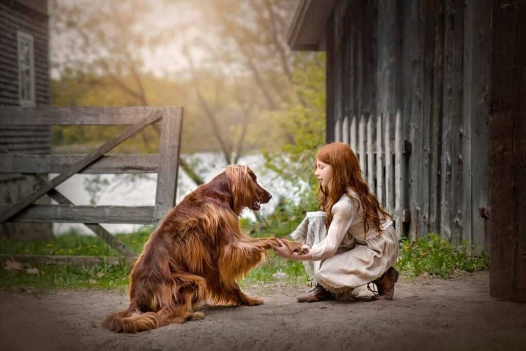 Petite fille et son chien devant une vieille grange — Rébecca Vandal, photographe à Granby