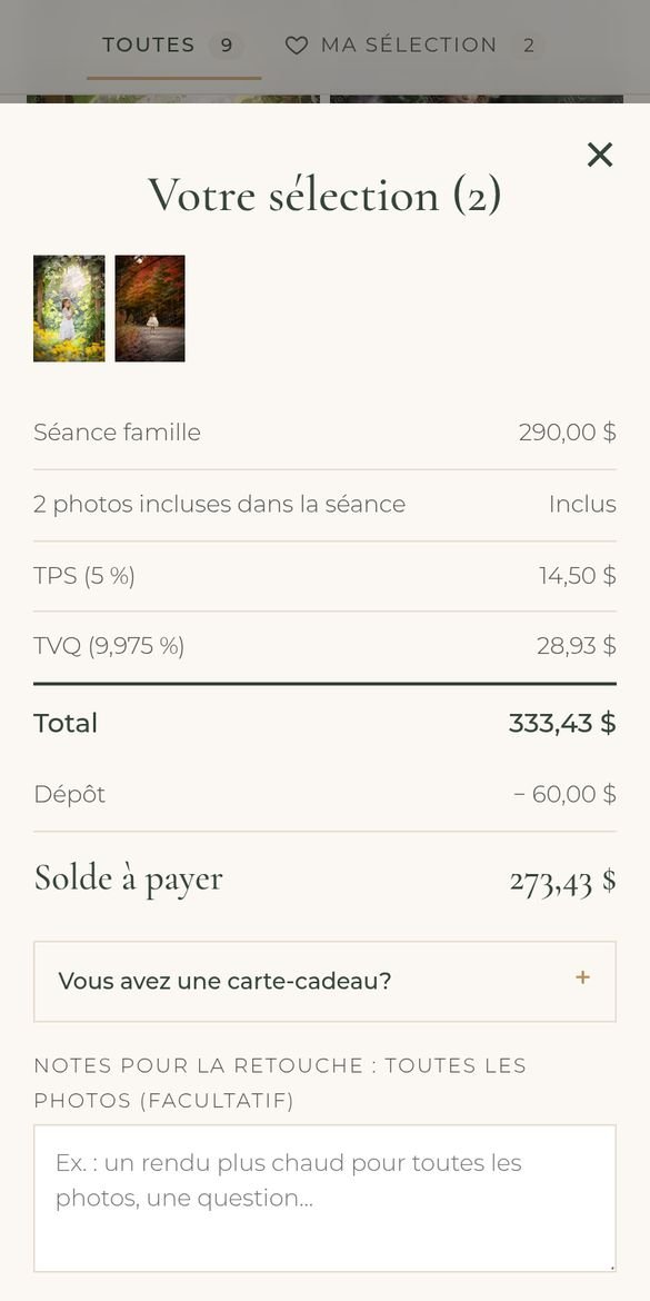 Récapitulatif avant l’envoi de la sélection (téléphone)