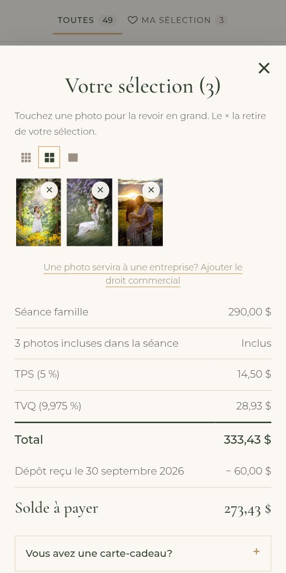 Récapitulatif avant l’envoi de la sélection (téléphone)
