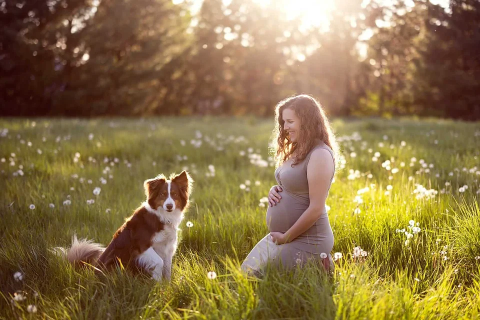 Une femme enceinte, accompagnée de son chien, pose pour une séance photo de maternité dans un champ pittoresque de Granby — Rébecca Vandal, photographe à Granby