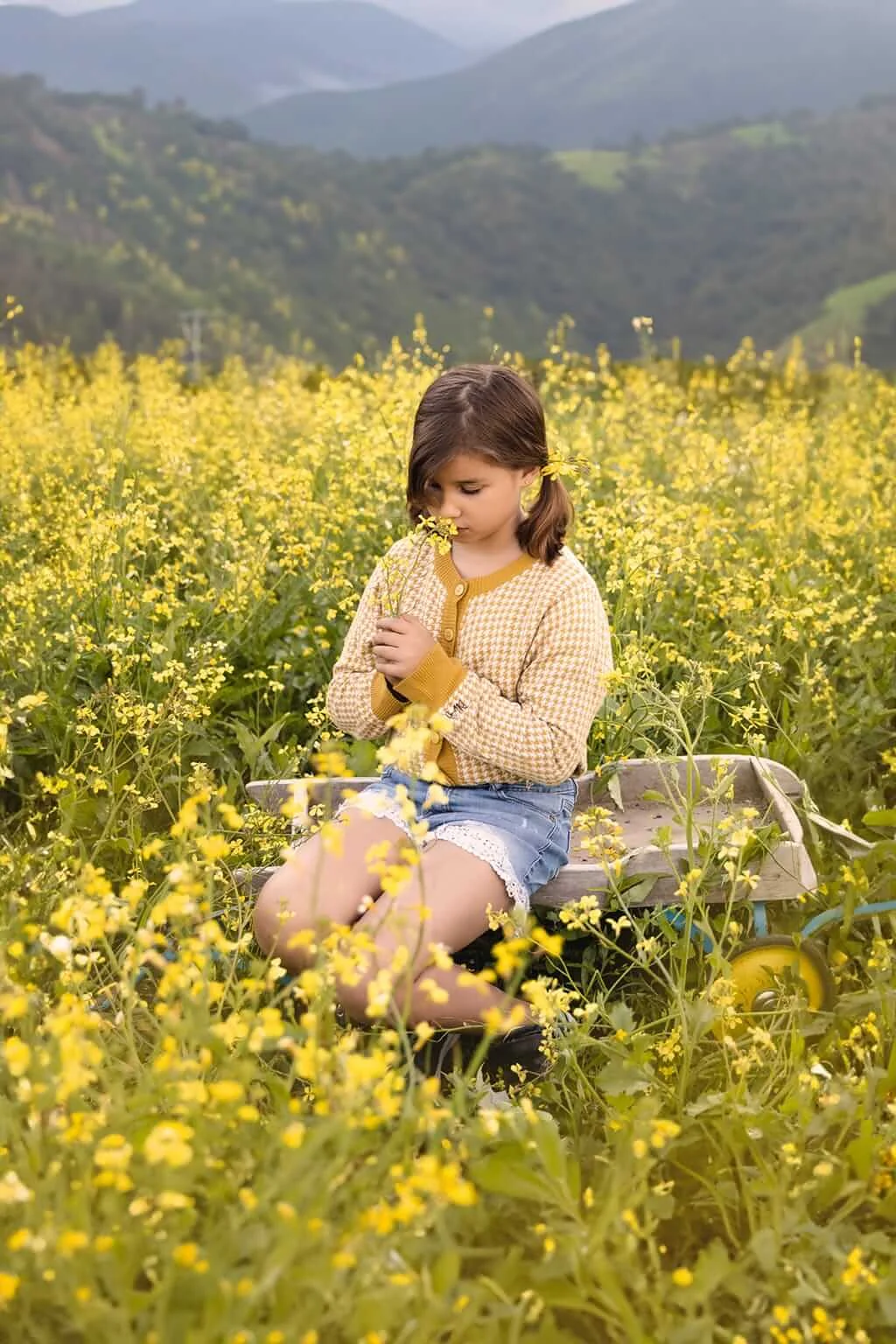 Une jeune fille assise sur un banc dans un champ de fleurs jaunes — Rébecca Vandal, photographe à Granby