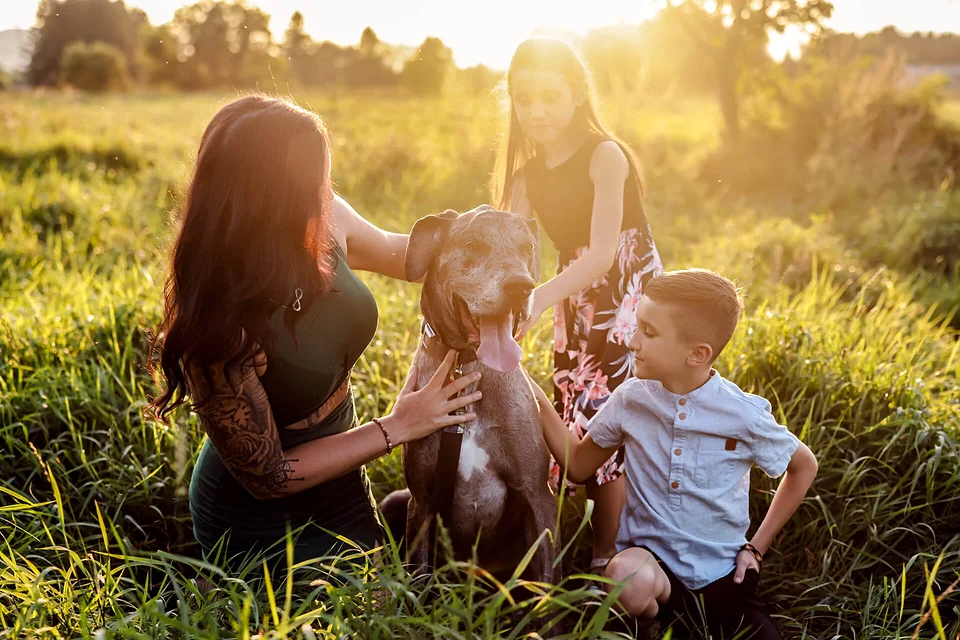 Une famille avec un chien dans un champ au coucher du soleil — Rébecca Vandal, photographe à Granby